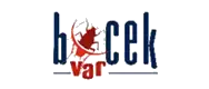 BocekVar