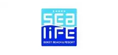 Sea Life Buket