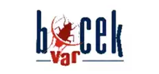 BocekVar